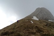 Monte Valgussera, Pizzo Vescovo, Monte Brate, tre cime ad anello da Foppolo il 28 maggio 2016 - FOTOGALLERY